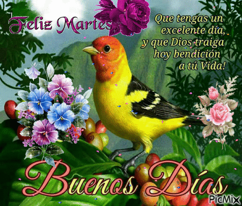 feliz martes - PicMix