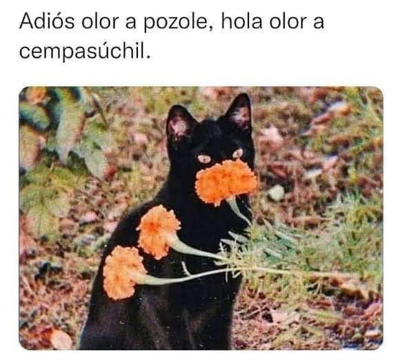 FB_IMG_1726579368329
