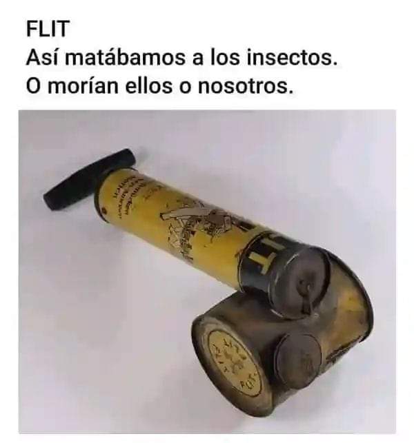FB_IMG_1725434561570