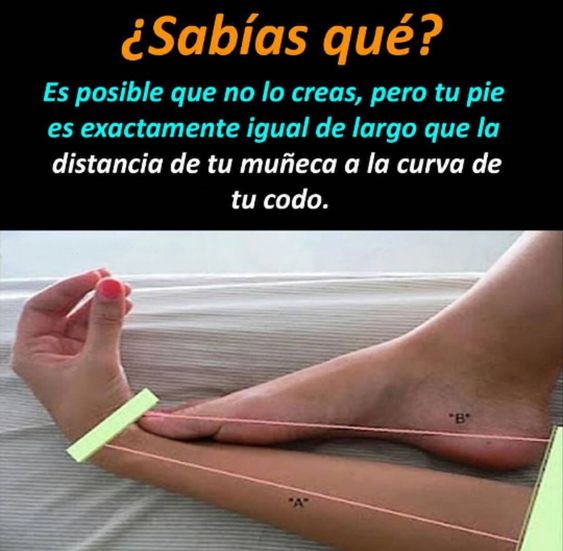 002970d0eecb2957024a9dd27c8924b1