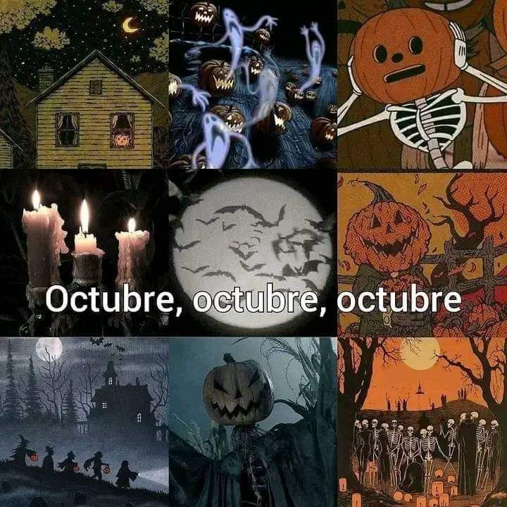 FB_IMG_1730303254823