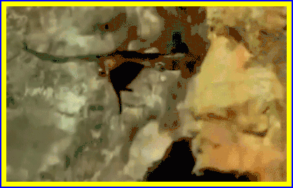 oie_18202724P9B8E5Ov