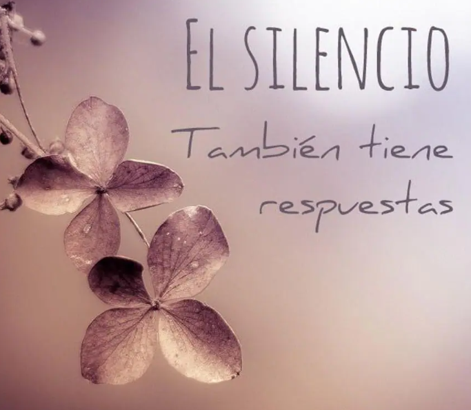 Screenshot_20240109-205553~2