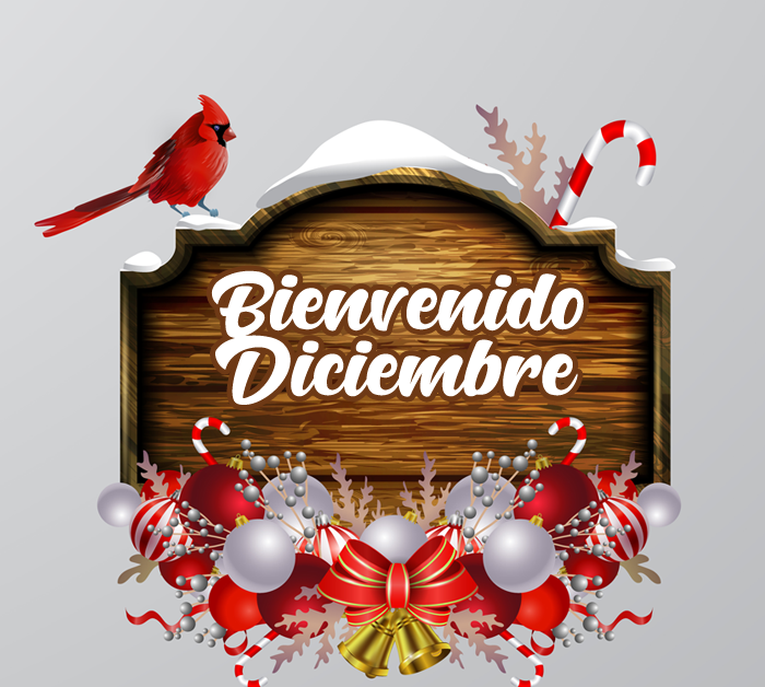 imagenes de Navidad con cardenal bastones y decoracion navideña con mensaje de bienvenido diciembre 00001