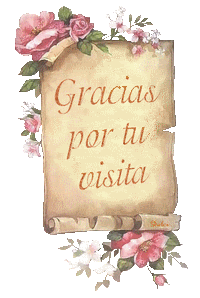 Graciasportuvisita2