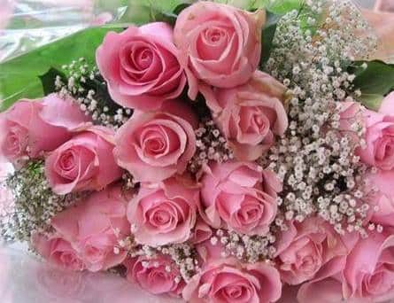 2121af6e9f99927736f60a397bc170bf69d9d0bf