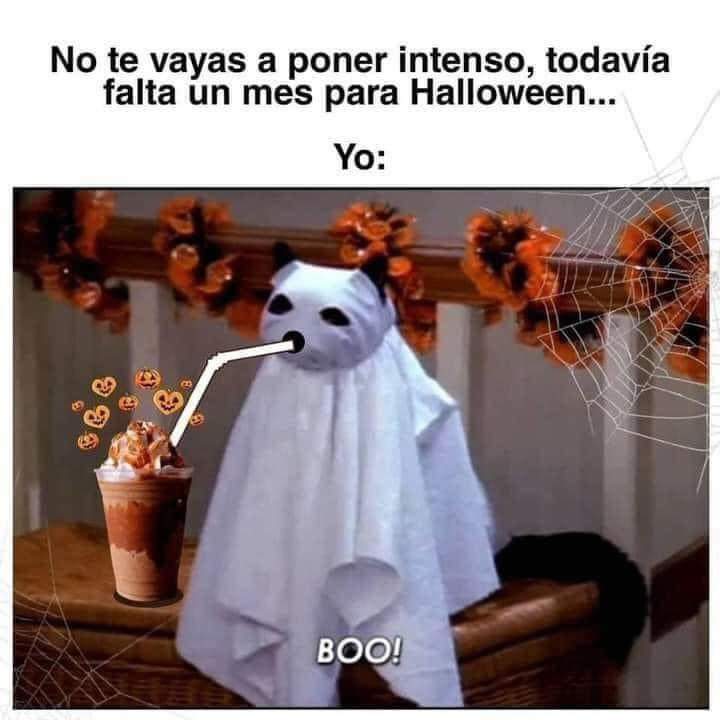 FB_IMG_1725912234535