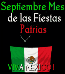 viva-mexico-fiestas-patrias
