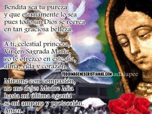 imagenes-cristianas-de-la-virgen-de-guadalupe