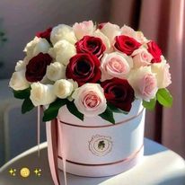 447761450_351148167691230_6192107318954029331_n