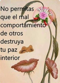177b8b0cd362ae4fc95abeb32eb374b5