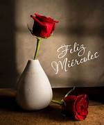 miercoles2