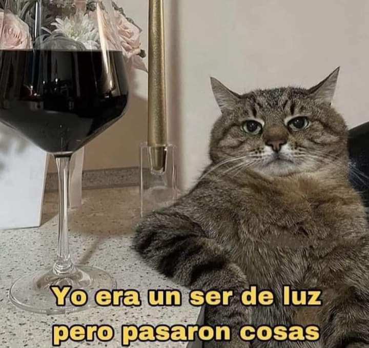 FB_IMG_1721248521402
