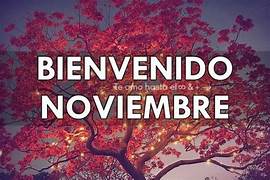 noviembre22