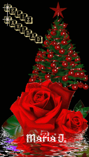 KiTSgT8dkHse