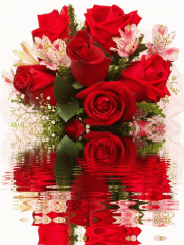 love-roses