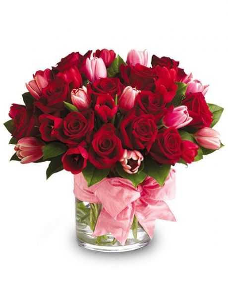 88c41e58364fccd8bd9eb869565fbbd4ffbbf4fe