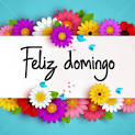 DOMINGO22