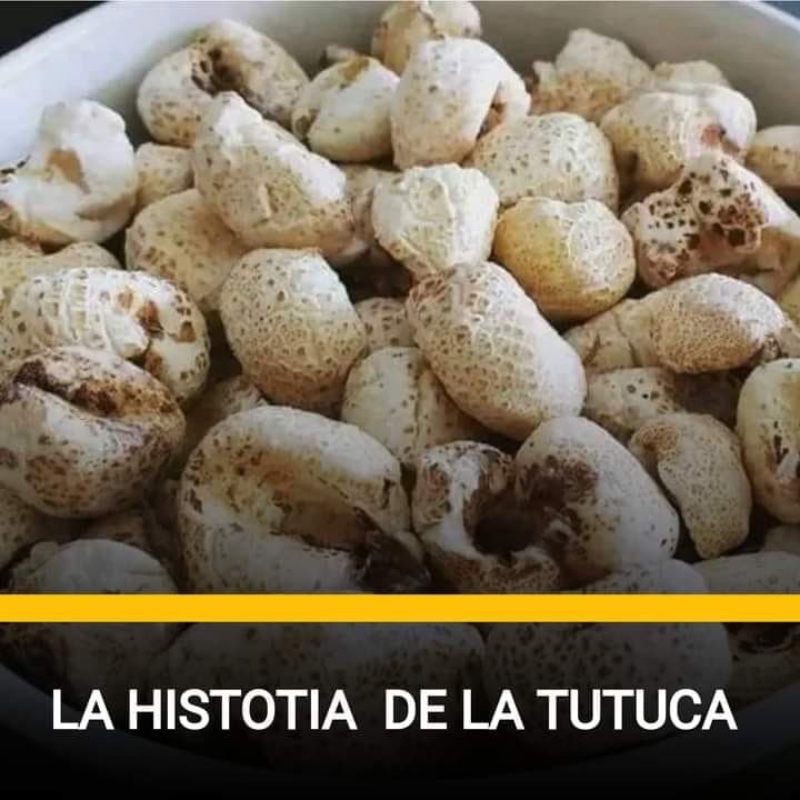 La historia de la Tutuca. Buena Onda MiForo