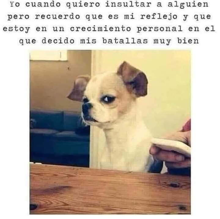 FB_IMG_1699207039320