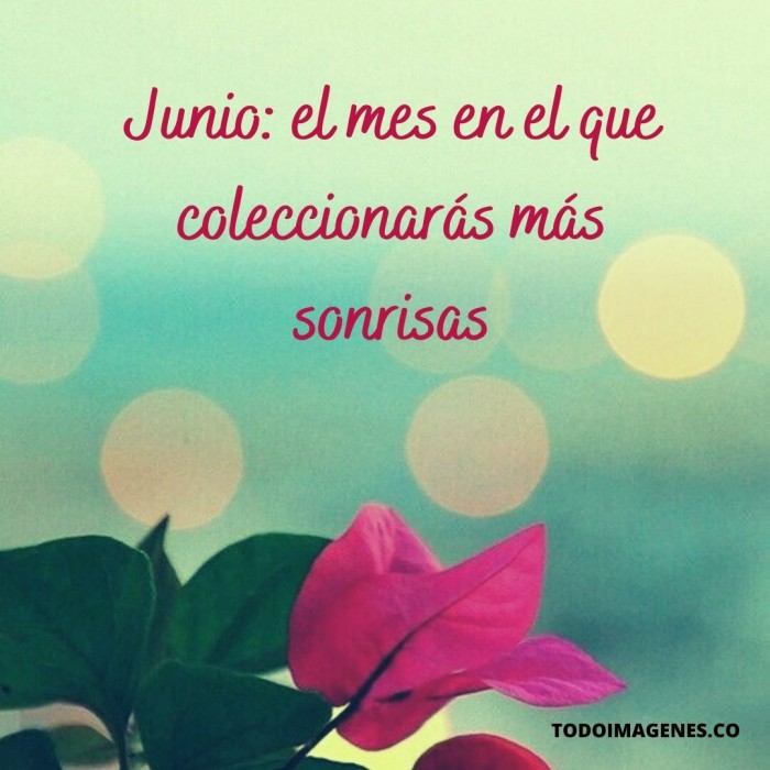 feliz-junio-6