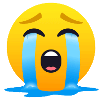 :cry_face: