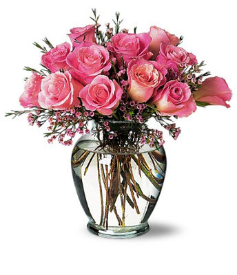 a67931a0c06f57aa0554d137f4439fddaa33ee11