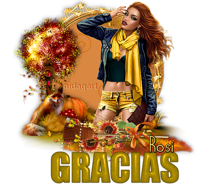 GRACIAS  x  AIDA
