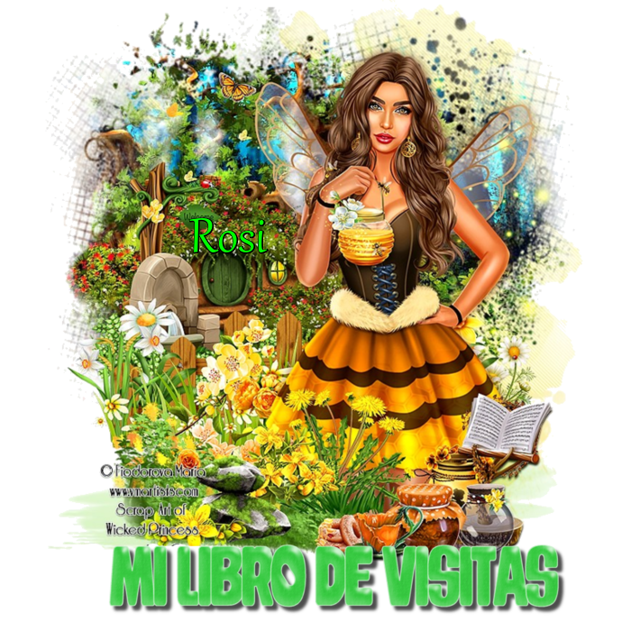 LIBRO DE VISITAS x AIDA