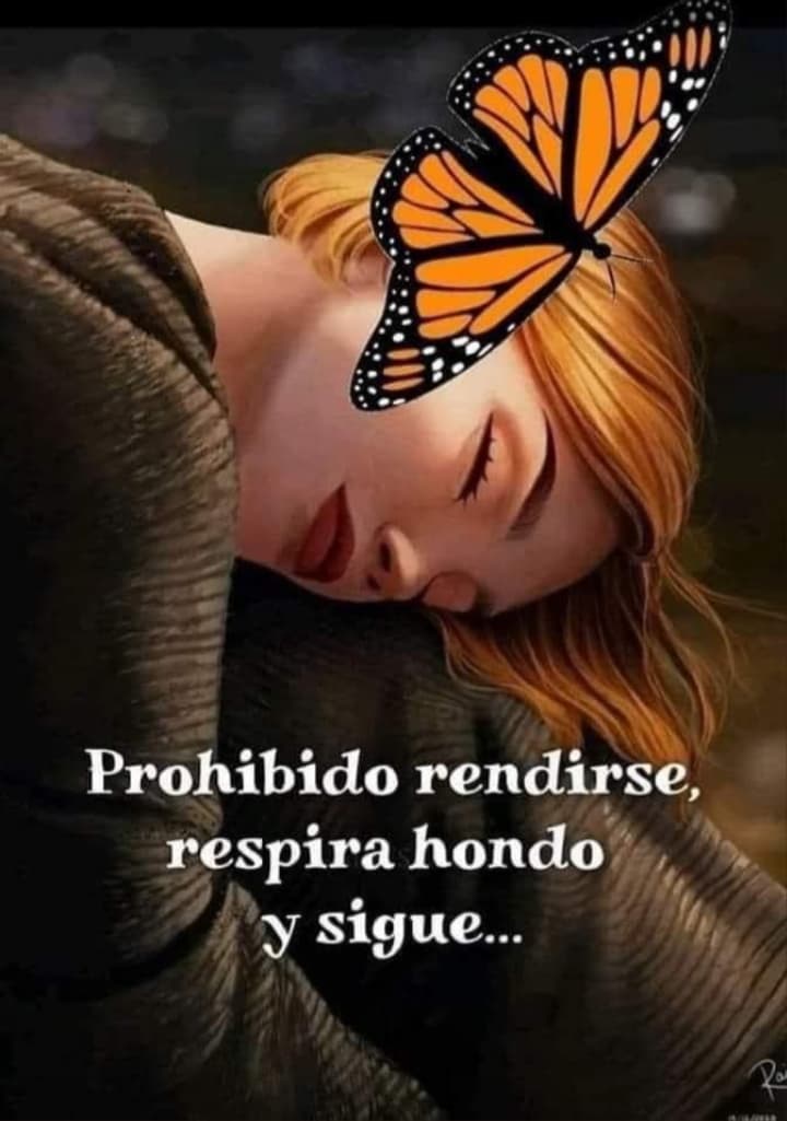 Screenshot_20240731-021947~2