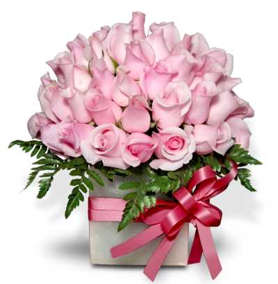 c77b5e3552dff415cd7ac9ec65cb63702c3876cc