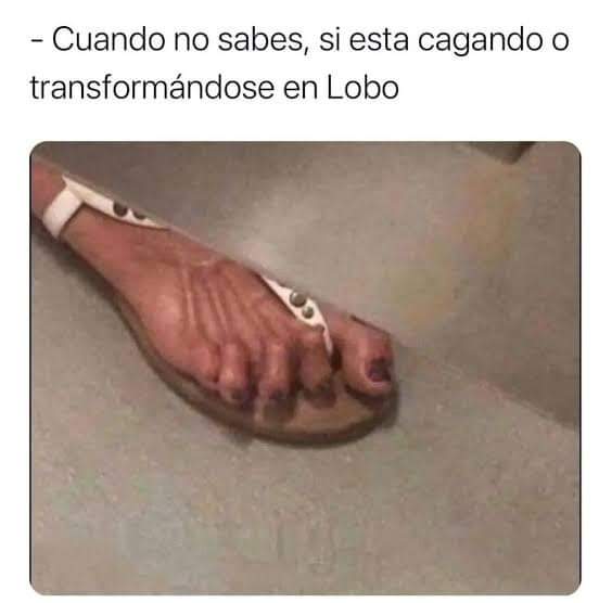 FB_IMG_1718398621178