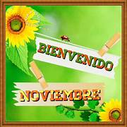 noviembre3