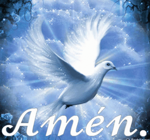 amen-paloma