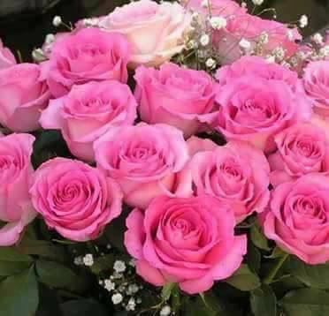 fa04b6060a9637ceebe7a3b7b83b45b0ba2f442f