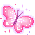 butterflies
