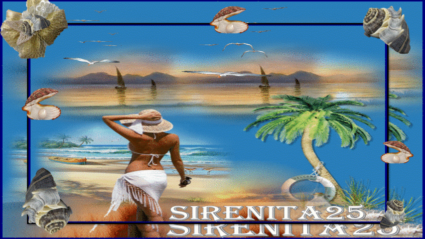 SIRENITA 25 MODERNIZADA