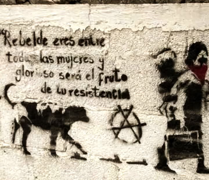 FB_IMG_1741490227113