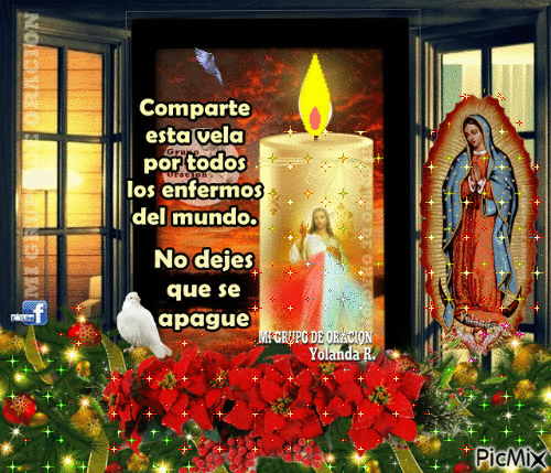 467105915_2067530717029053_2618244607694635706_n