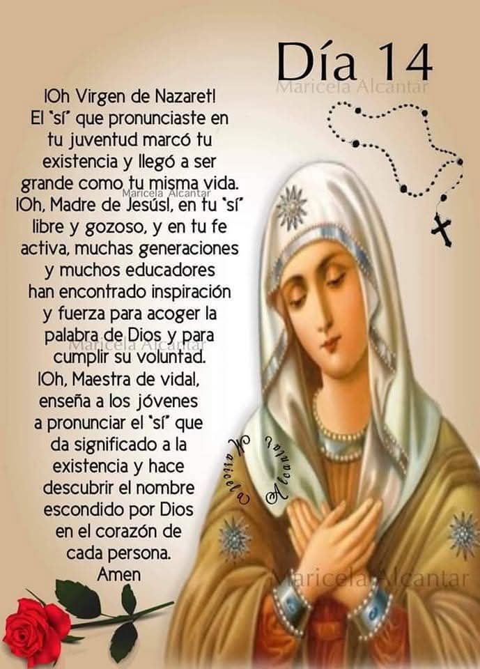 FB_IMG_1747231324527