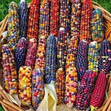 17629927473002801641780693614432