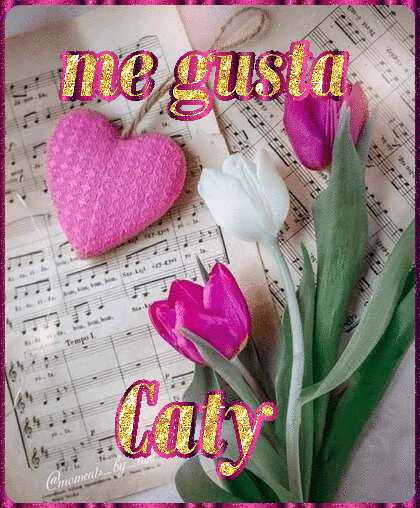 quGi9zPiHJgb (1)